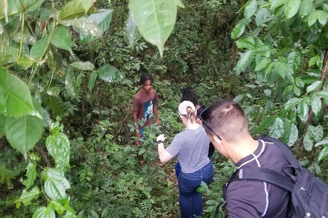 Quashie River Hiking in Cockpit Country Experience - An Immersive Journey into Jamaica’s Countryside