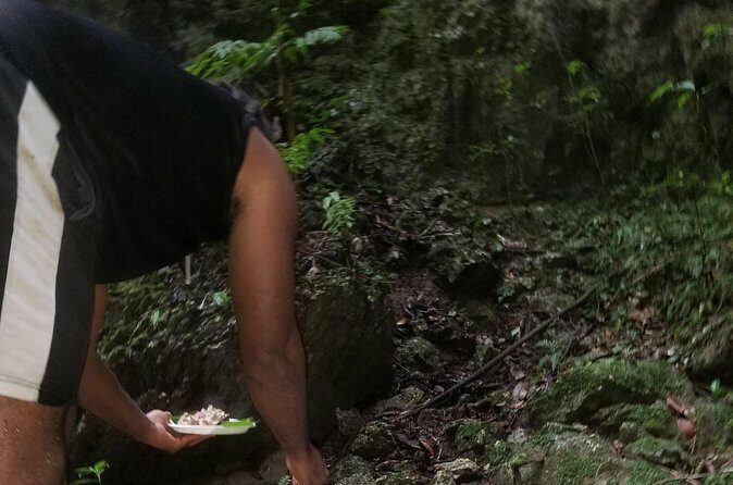 Quashie River Hiking in Cockpit Country Experience - Authentic Experiences and Real Feedback
