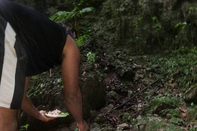 Quashie River Hiking in Cockpit Country Experience - Frequently Asked Questions