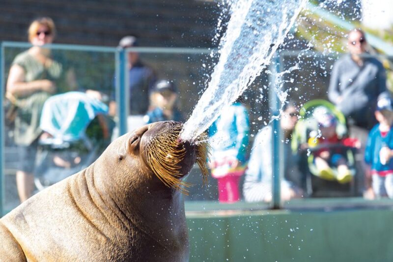 Quebec: Aquarium of Quebec Entry Ticket - Key Points