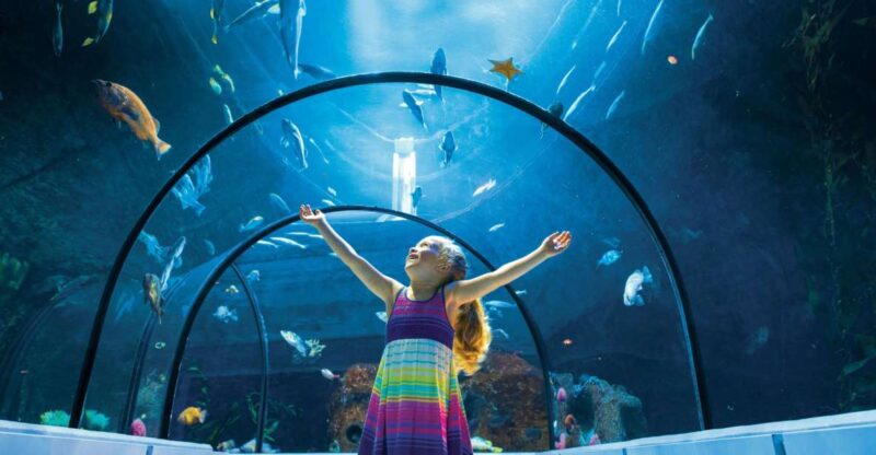 Quebec: Aquarium of Quebec Entry Ticket - Aquarium Highlights and Exhibits