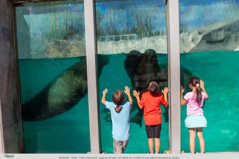 Quebec: Aquarium of Quebec Entry Ticket - Animal Encounters and Presentations
