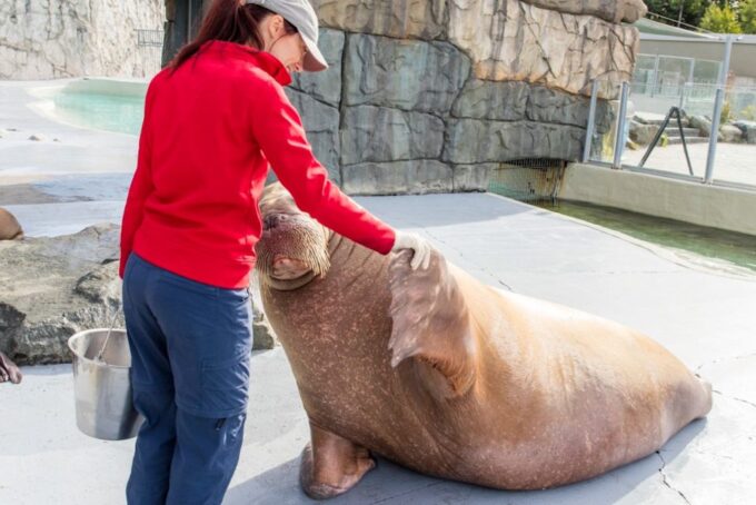 Quebec: Aquarium of Quebec Entry Ticket - Accessibility and Amenities