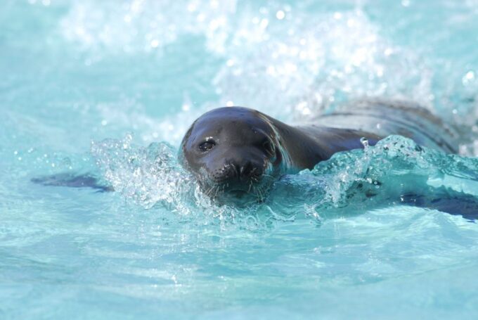 Quebec: Aquarium of Quebec Entry Ticket - Customer Ratings and Feedback