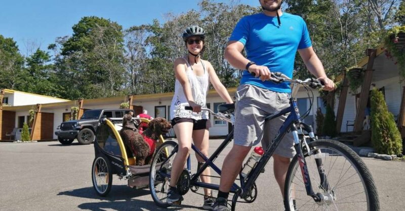 Quebec City - E-Tandem Rental on Ile D'Orleans - Experience Highlights