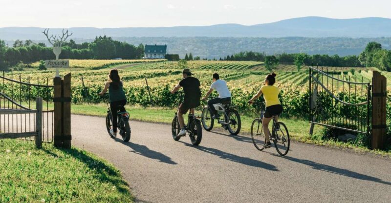 Quebec City: Electric Bike Rental on Ile D'Orléans - Rental Process