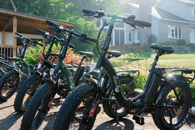 Quebec City - Electric Bike Rental on Île D'orléans - Additional Rental Options