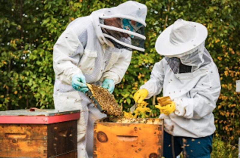 Quebec City: Honey and Distillery Tour With Tasting - Key Points