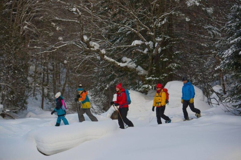 Quebec City: Jacques-Cartier National Park Snowshoeing Tour - Itinerary and Transportation