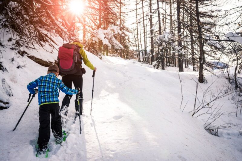 Quebec City: Jacques-Cartier National Park Snowshoeing Tour - Explore Winter Landscapes