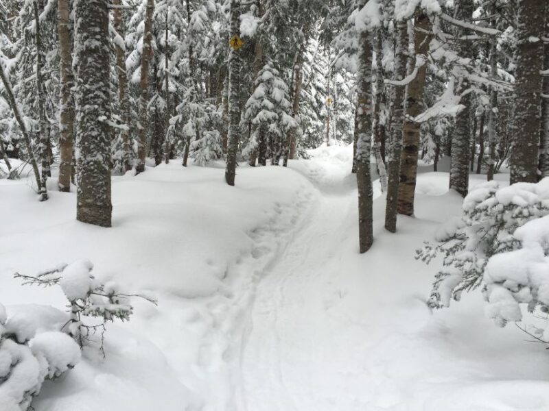 Quebec City: Jacques-Cartier National Park Snowshoeing Tour - Snowshoeing Along Scenic Trails