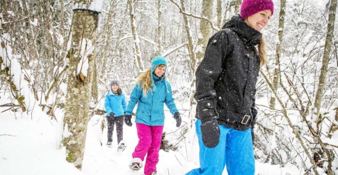 Quebec City: Jacques-Cartier National Park Snowshoeing Tour - Necessary Equipment Provided