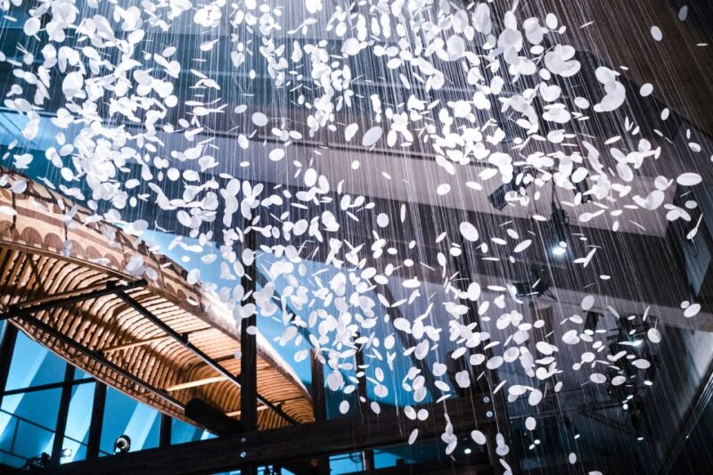 Quebec City: Museum of Civilization Entry Ticket - Visitor Guidelines