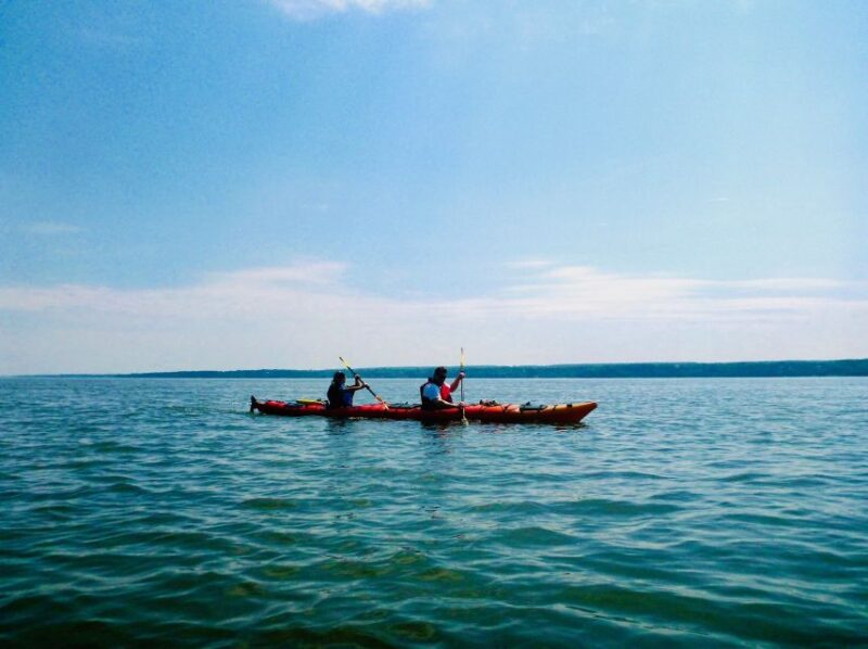 Quebec City: Sea-Kayaking Tour in Orleans Island - Key Points
