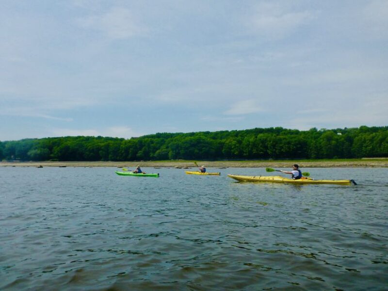 Quebec City: Sea-Kayaking Tour in Orleans Island - Experience Highlights