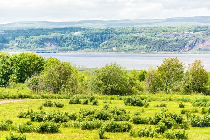 Quebec City: Sightseeing Cruise With Guide - Languages and Duration