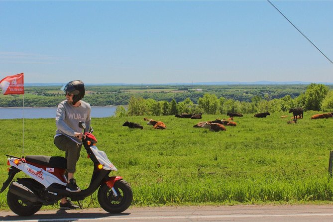 Quebec City - Single Scooter Rental on Île D'orléans - Damage and Theft Insurance