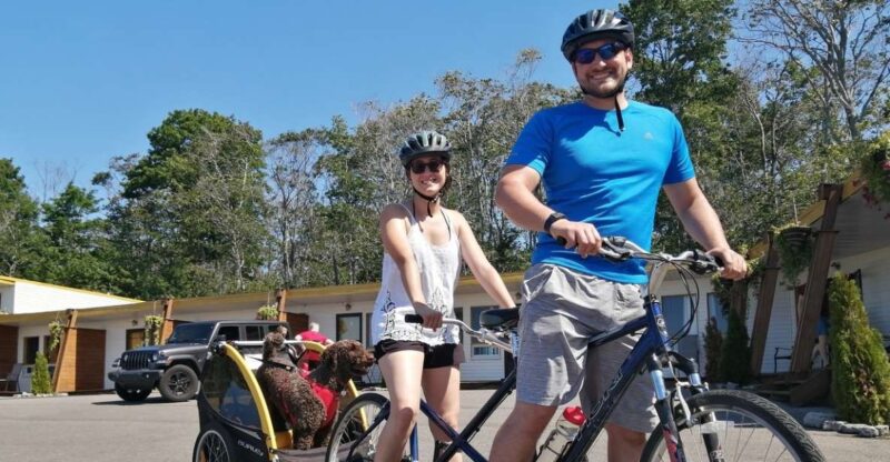 Quebec City - Tandem Bike Rental on Ile D'Orléans - Key Points