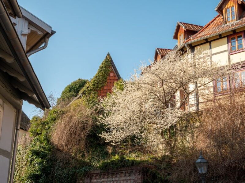 Quedlinburg: Guided City Highlights Walking Tour - Key Points