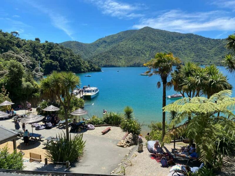 Queen Charlotte Sound: Lochmara Cruise and Explore 9-4 - A Practical Look at the Lochmara Experience