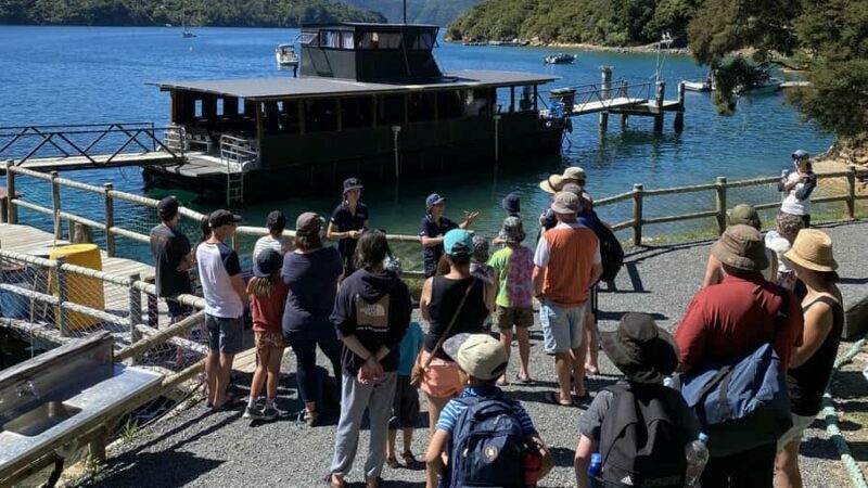 Queen Charlotte Sound: Lochmara Cruise and Explore 9-4 - Final Thoughts