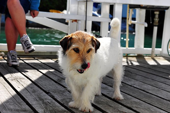 Queen Charlotte Sound Mail Boat Cruise - Mail Delivery Excitement