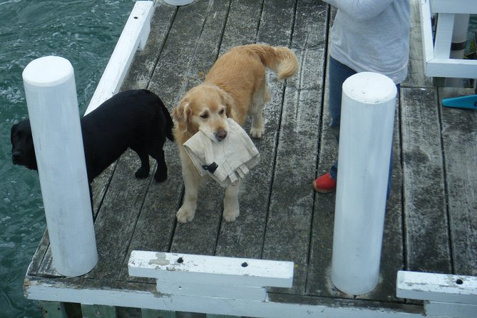 Queen Charlotte Sound Mail Boat Cruise - Booking and Recommendations