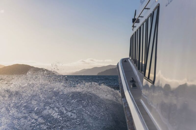 Queen Charlotte Sound: Scenic Cruise & Lunch - Cruise Through Marlborough Sounds