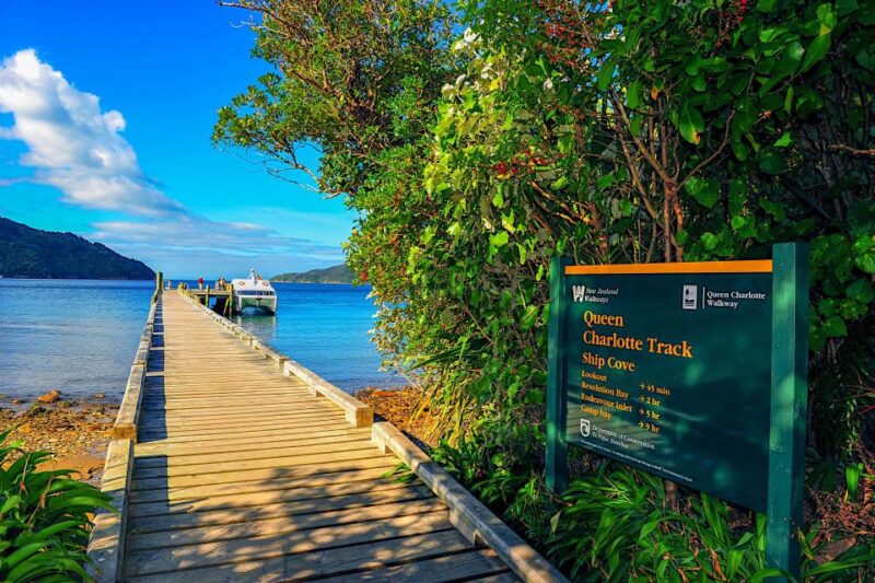 Queen Charlotte Track: Cruise & Self-Guided Hike From Picton - What to Bring
