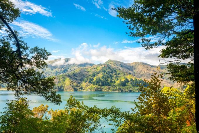 Queen Charlotte Track: Cruise & Self-Guided Hike From Picton - Recap