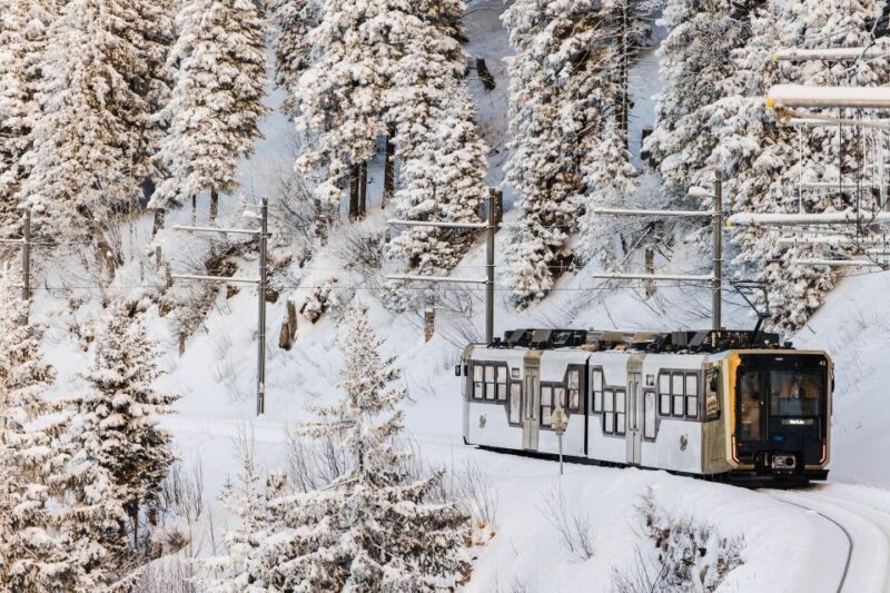 Queen of the Mountains Roundtrip, Mt. Rigi + Lake Lucerne + Spa - Rigi Kaltbad Mineral Baths & Spa