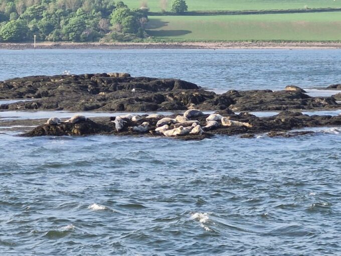 Queensferry: Sightseeing Cruise to Inchcolm Island - Getting There and Departure