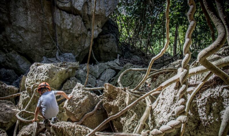 Queensland: 90 Minute Capricorn Caves Explorer Tour - Activity Details