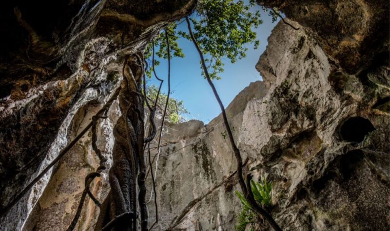 Queensland: 90 Minute Capricorn Caves Explorer Tour - Location and Duration
