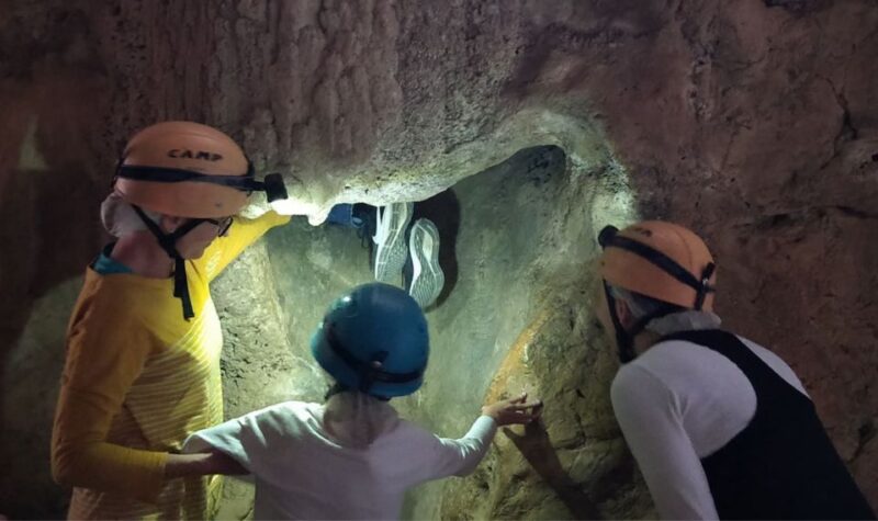Queensland: 90 Minute Capricorn Caves Explorer Tour - Experience Highlights