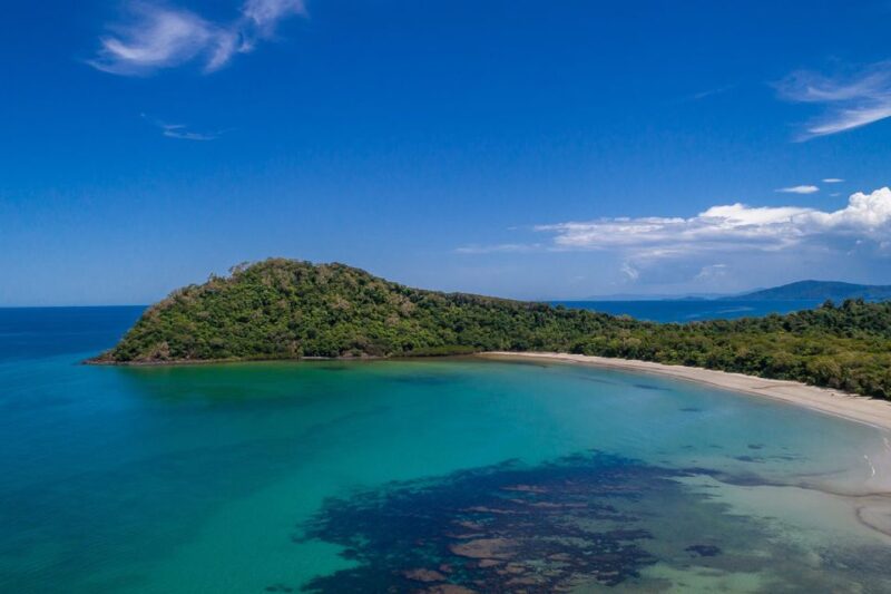 Queensland: Cape Tribulation, Daintree, and Mossman Day Trip - Daintree River Cruise