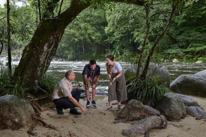 Queensland: Cape Tribulation, Daintree, and Mossman Day Trip - Tour Highlights and Inclusions