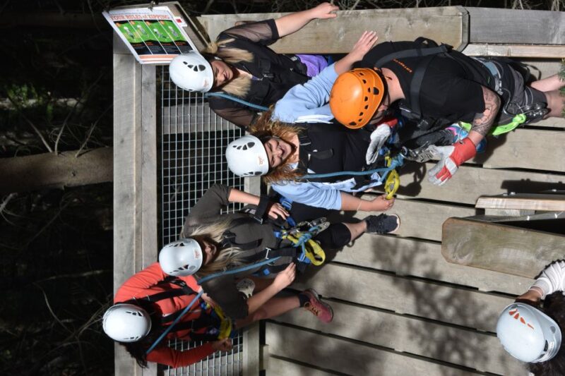 Queenstown: 1-Hour Zipline Tour With 2-Lines & 21-Meter Drop - Key Points