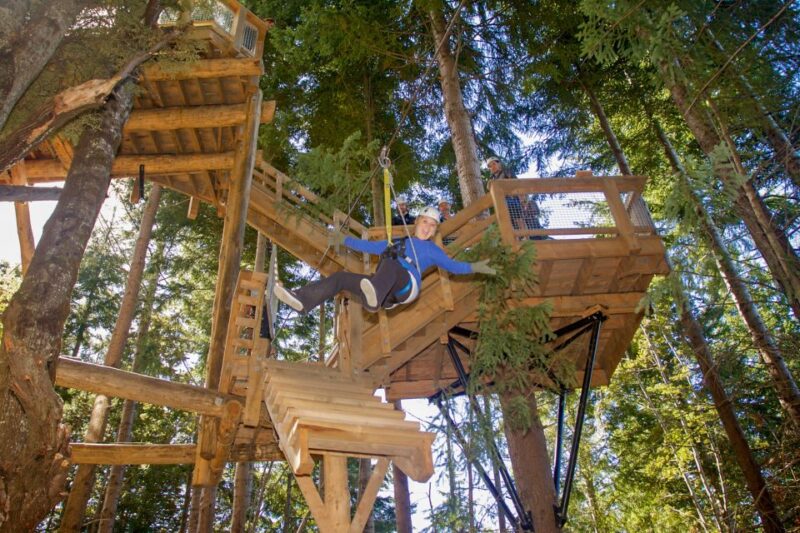 Queenstown: 2-Hour Zipline Tour With 4-Lines - Highlights of the Experience