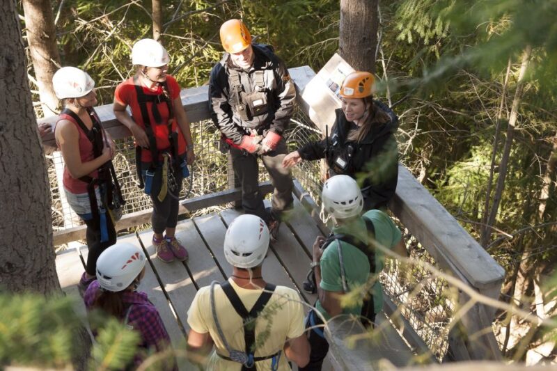 Queenstown: 3-Hour Zipline Adventure With 6-Lines - Key Points