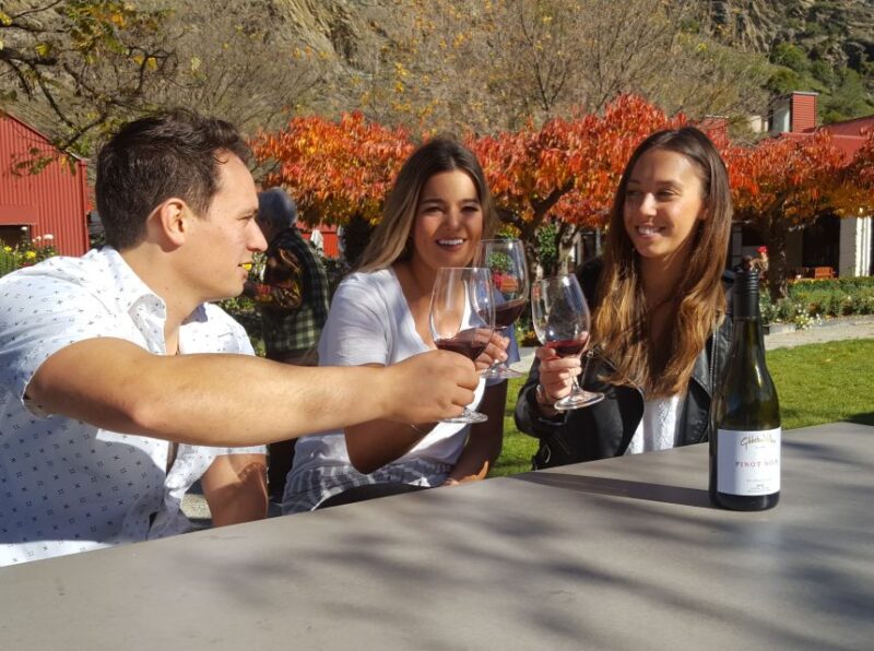 Queenstown: Afternoon Wine Tasting Tour With 3 Wineries - Booking and Flexibility
