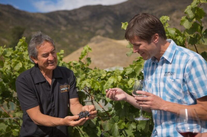 Queenstown: Afternoon Wine Tasting Tour With 3 Wineries - Experience Highlights