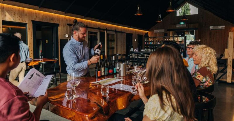 Queenstown: Classic Central Otago Wine Tasting Experience - Key Points