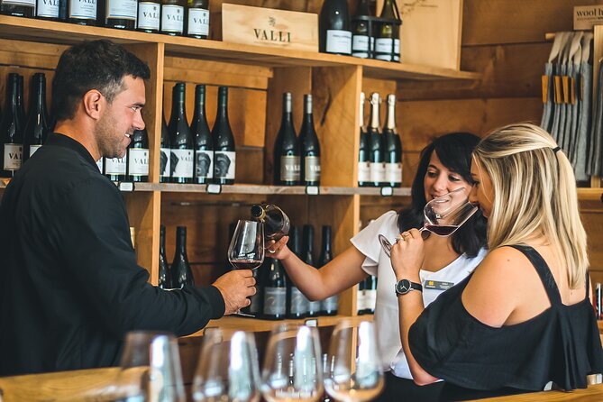 Queenstown Classic Wine Tour: 3 Vineyards, Caves and Cheeseboard - Group Size and Accessibility