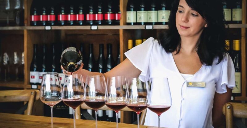 Queenstown: Classic Wine Tour - Key Points
