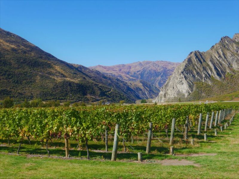 Queenstown: Classic Wine Tour - Tour Details