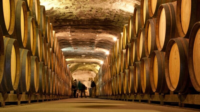 Queenstown: Classic Wine Tour - Childrens Alternative Arrangements