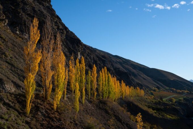 Queenstown: Craft Beer Brewery Tour With Lunch - Booking and Cancellation