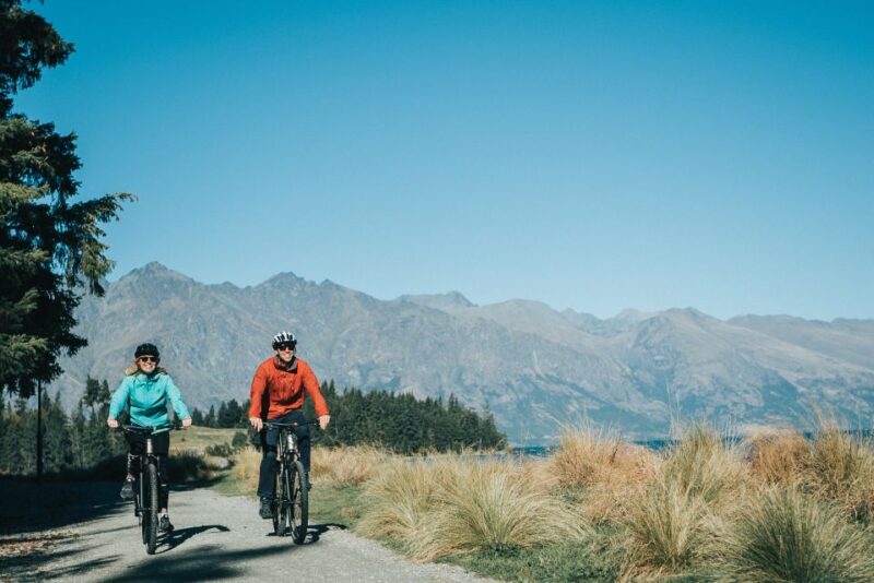 Queenstown: E-bike Hire on the Queenstown Trail - E-bike Details