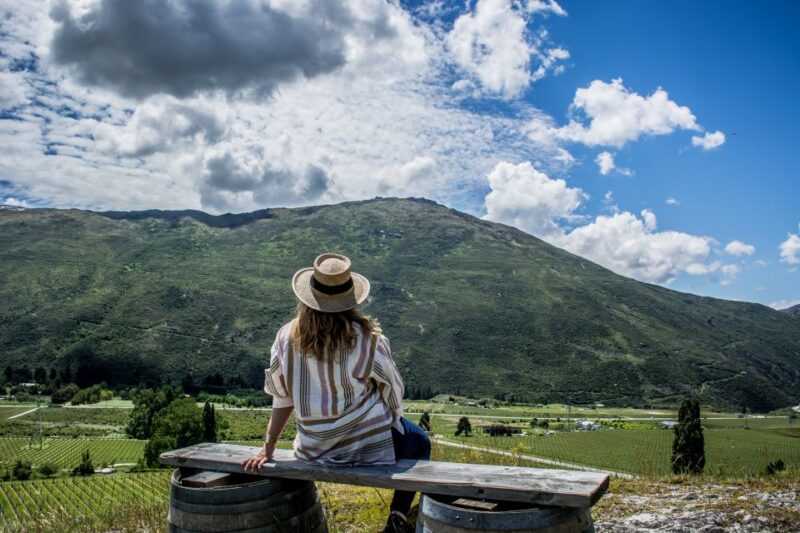 Queenstown & Gibbston Valley: Hop-On Hop-Off Wine Tours - Recap